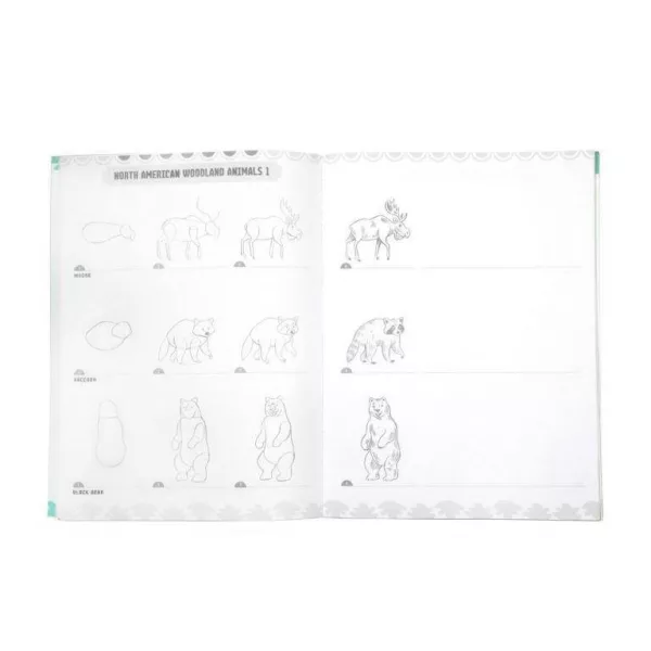 eeBoo Learn to draw wild animals